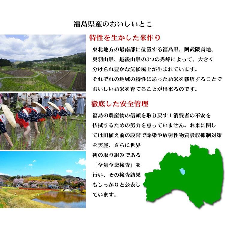 コシヒカリ お米 20kg 送料無料 白米 5kg×4袋 福島県産 令和7年産 一等