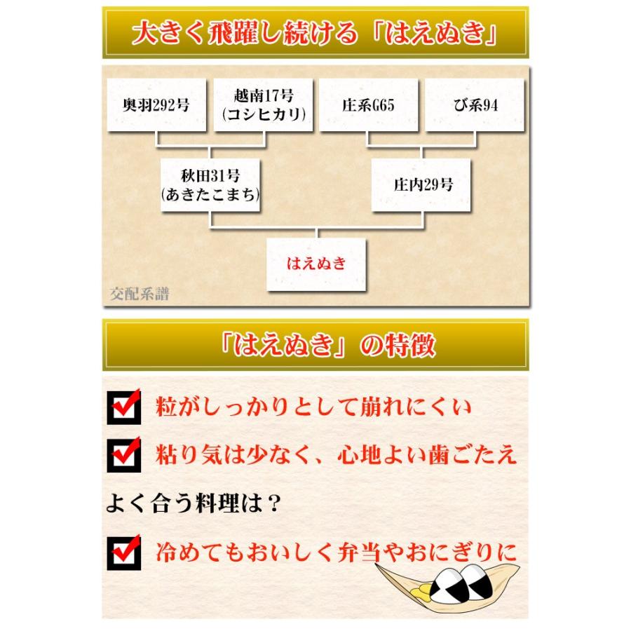 米 10kg 送料無料 白米 ふっくりんこ 5kg×2袋 北海道産 30年産 1等米 お米 10キロ あすつく 食品 北海道・沖縄は追加送料｜adachinet-umai｜06