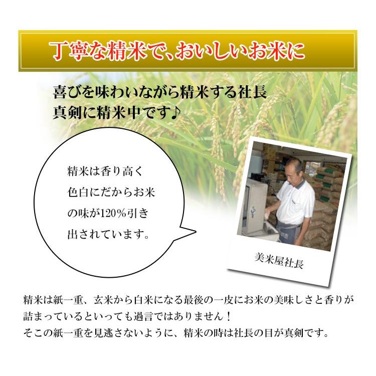 米 5kg 送料別 白米 ふっくりんこ 北海道産 30年産 1等米 お米 5キロ あすつく 食品｜adachinet-umai｜08