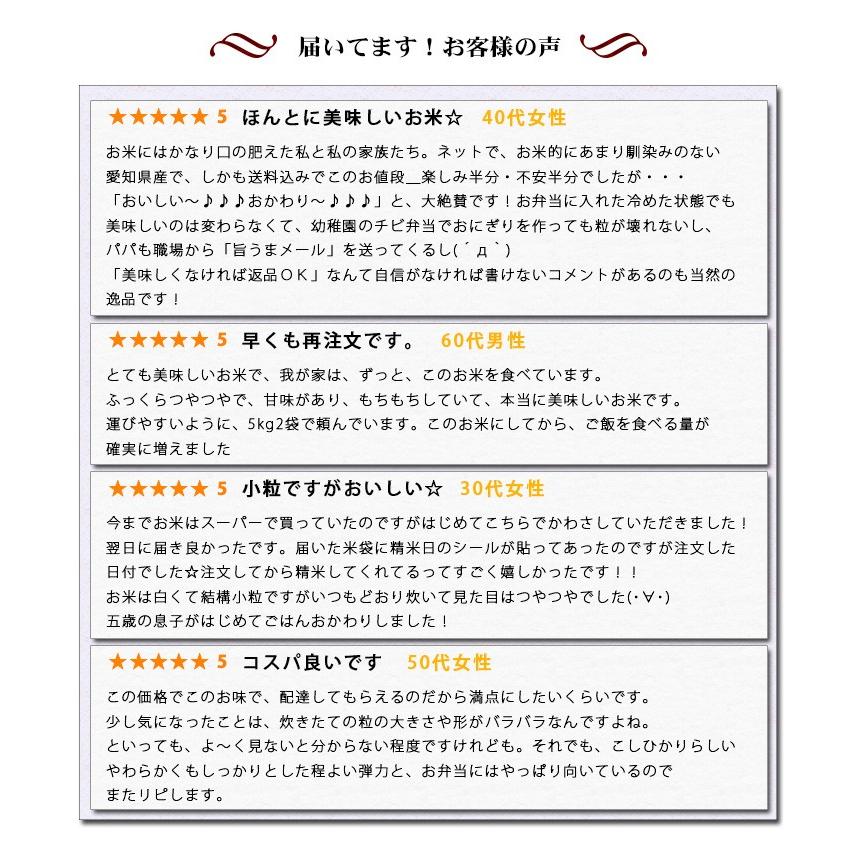 米 10kg 送料無料 白米 コシヒカリ 5kg 2袋 愛知県産 令和2年産 お米 10キロ あすつく 食品 北海道 沖縄は追加送料 Hk 10 あだちねっと美米屋 通販 Yahoo ショッピング