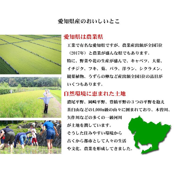 お米 10kg 白米 送料無料 コシヒカリ 5kg×2袋 愛知県産 こしひかり 令和5年産 米 あす着く 食品 北海道・沖縄は追加送料｜adachinet-umai｜06