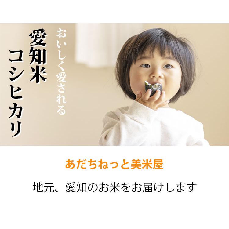 コシヒカリ お米 5kg 白米 送料無料 愛知県産 こしひかり 令和7年産 米