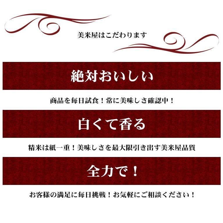 お米 10kg 白米 送料無料 ななつぼし 5kg×2袋 北海道産 令和5年産 特A 1等米 あす着く食品 北海道・沖縄は追加送料｜adachinet-umai｜11