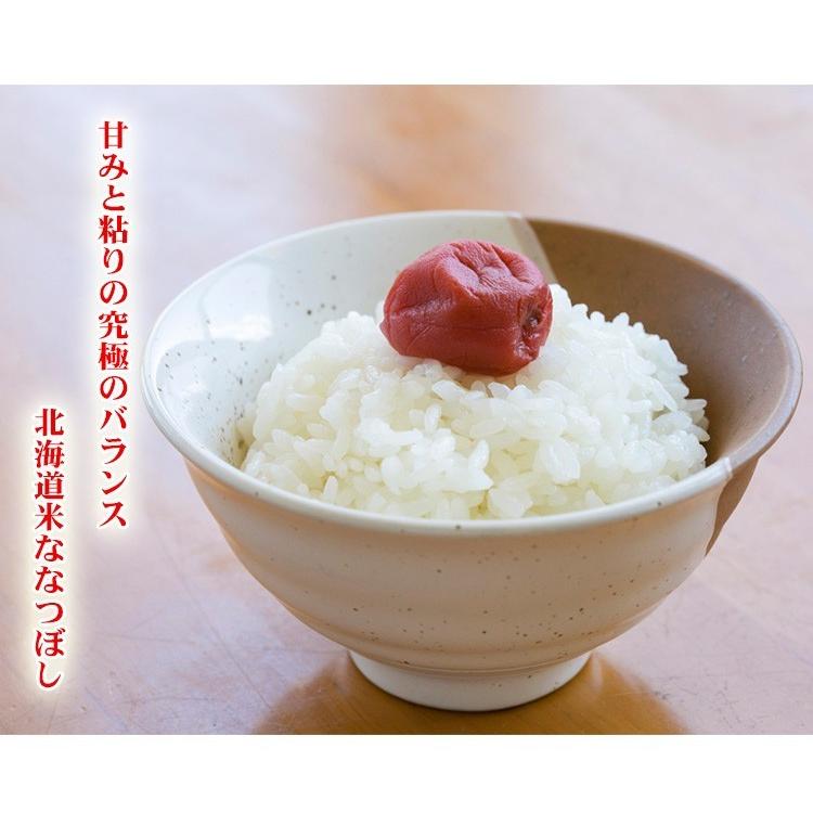 ななつぼし お米 10kg 白米 送料無料 5kg×2袋 北海道産 令和6 ななつぼし お米 10kg 白米 送料無料 5kg×2袋 北海道産 令和6