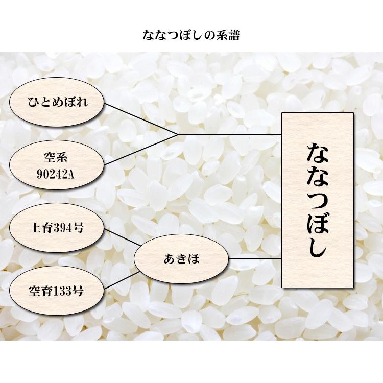 ななつぼし お米 10kg 白米 送料無料 5kg×2袋 北海道産 令和6 ななつぼし お米 10kg 白米 送料無料 5kg×2袋 北海道産 令和6