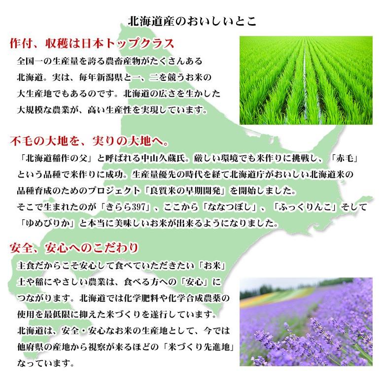 ゆめぴりか お米 5kg 送料無料 白米 玄米 北海道産 令和6年産 特 ゆめぴりか お米 5kg 送料無料 白米 玄米 北海道産 令和6年産 特