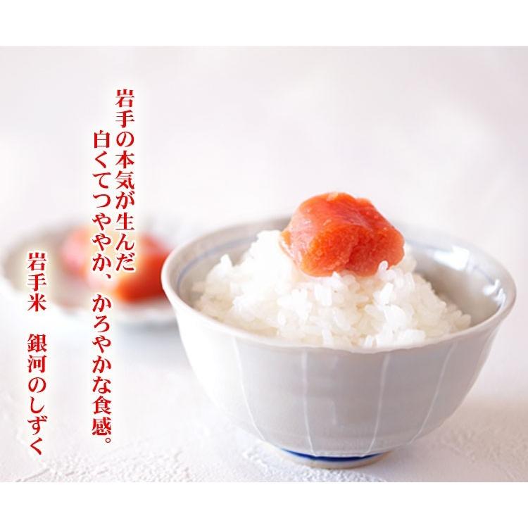 お米 10kg 白米 送料無料 銀河のしずく 5kg×2袋 岩手県産 令和7年産 特A 一等米 お米 食品 北海道・沖縄は追加送料 ポイント利用の画像