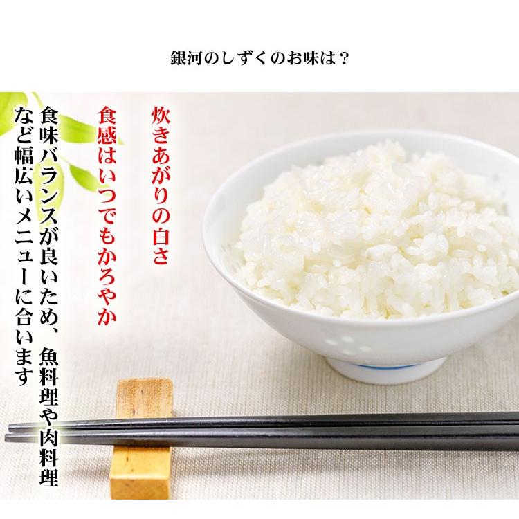 お米 10kg 白米 送料無料 銀河のしずく 5kg×2袋 岩手県産 令和7年産 特A 一等米 お米 食品 北海道・沖縄は追加送料 ポイント利用の画像