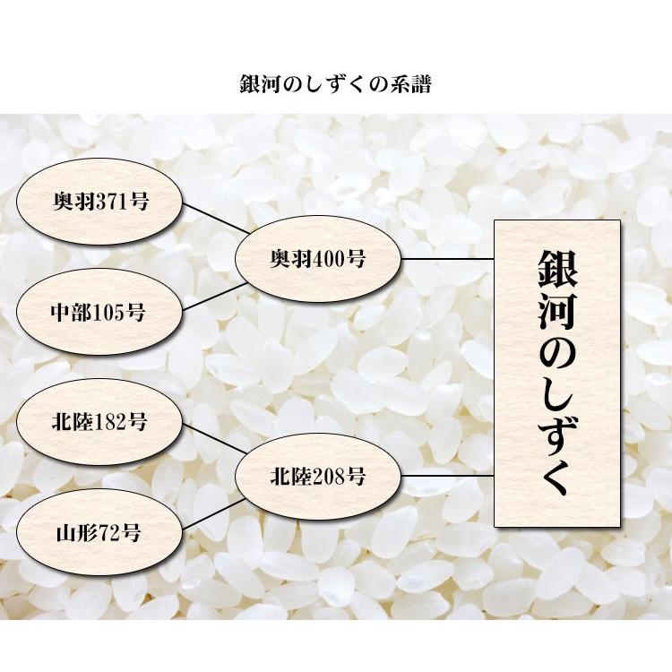 お米 10kg 白米 送料無料 銀河のしずく 5kg×2袋 岩手県産 令和7年産 特A 一等米 お米 食品 北海道・沖縄は追加送料 ポイント利用の画像