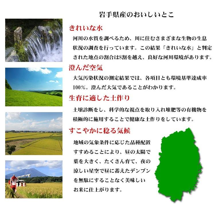 お米 10kg 白米 送料無料 銀河のしずく 5kg×2袋 岩手県産 令和7年産 特A 一等米 お米 食品 北海道・沖縄は追加送料 ポイント利用の画像