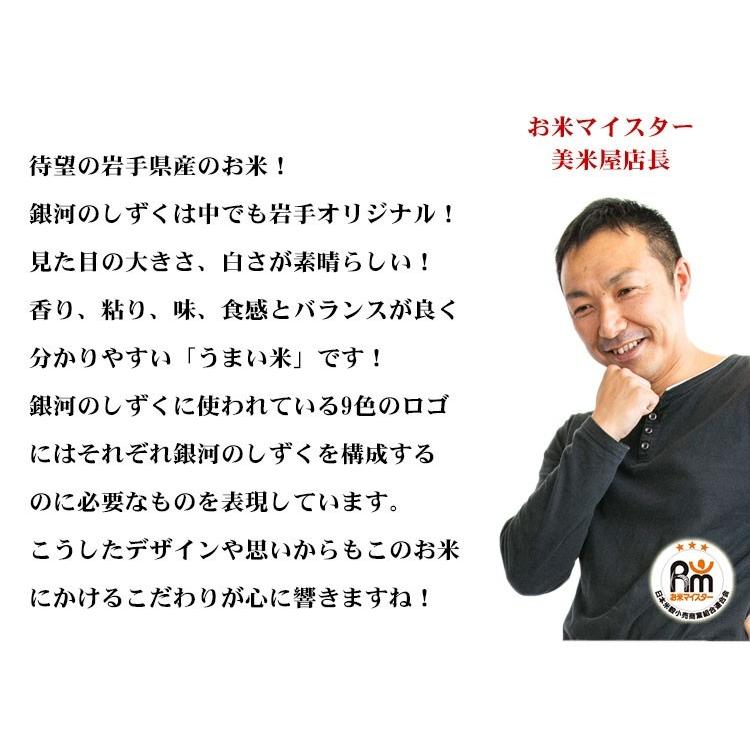 お米 10kg 白米 送料無料 銀河のしずく 5kg×2袋 岩手県産 令和7年産 特A 一等米 お米 食品 北海道・沖縄は追加送料 ポイント利用の画像