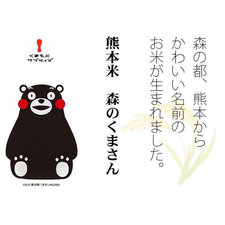 くまモンになりました imgrc0110990169.jpg