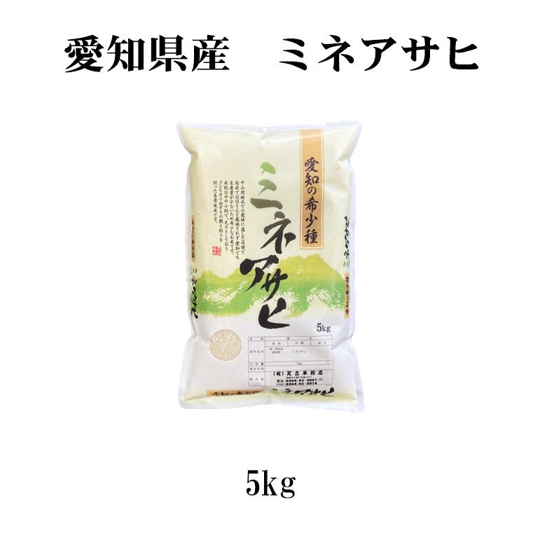 お米 5kg 送料別 白米 幻の米 ミネアサヒ みねあさひ 愛知県産 令和4