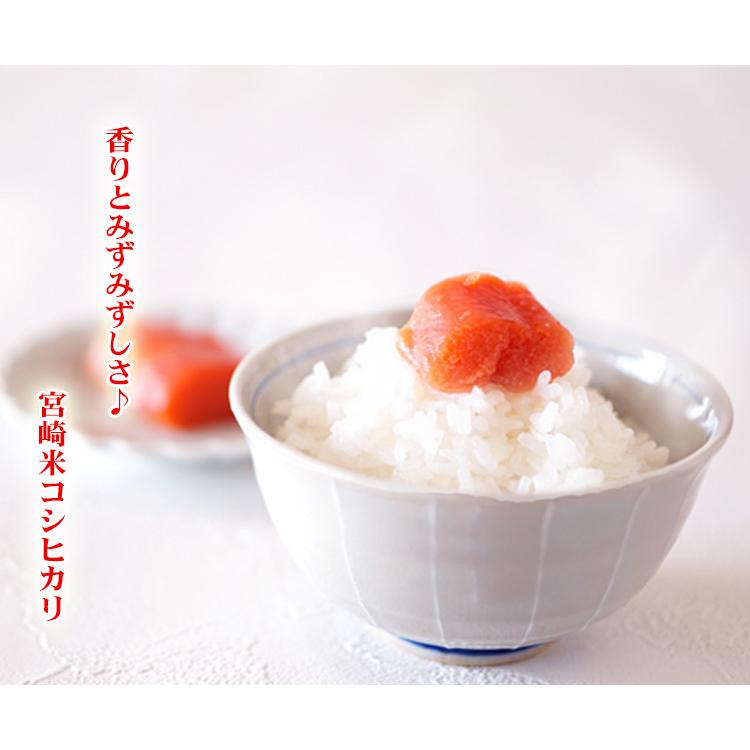 コシヒカリ 新米 お米 5kg 送料無料 白米 宮崎県産 令和6年産 5 コシヒカリ 新米 お米 5kg 送料無料 白米 宮崎県産 令和6年産 5