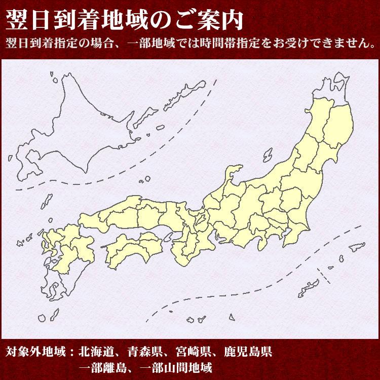 コシヒカリ 新米 お米 5kg 送料無料 白米 宮崎県産 令和6年産 お米 5