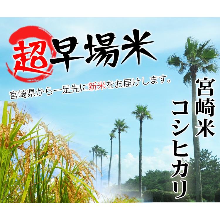 コシヒカリ 新米 お米 5kg 送料無料 白米 宮崎県産 令和6年産 お米 5