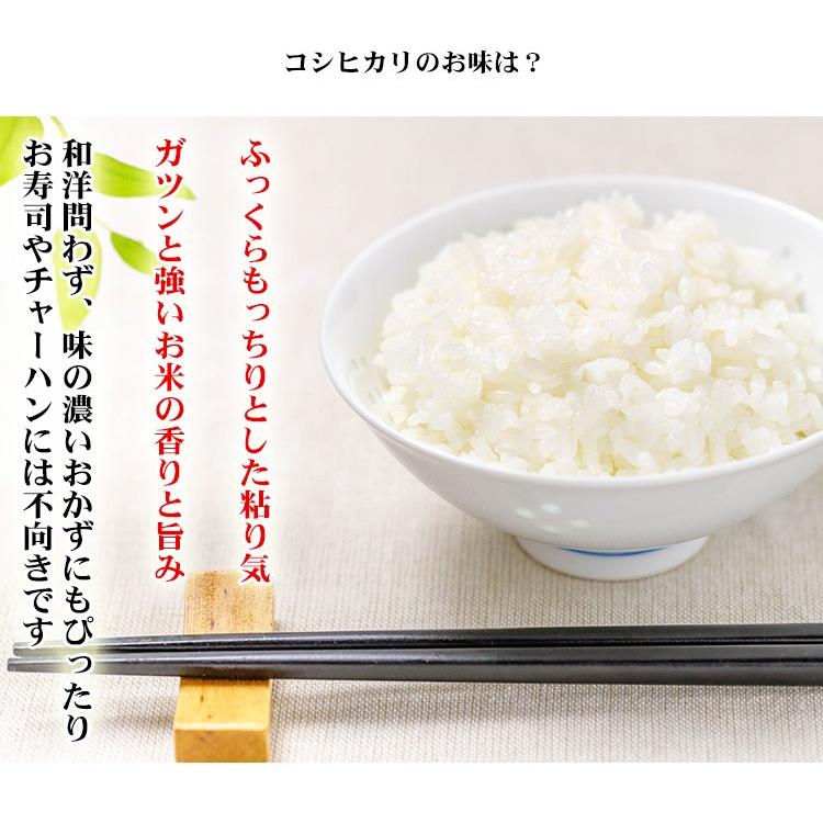 コシヒカリ 新米 お米 5kg 送料無料 白米 宮崎県産 令和6年産 5 コシヒカリ 新米 お米 5kg 送料無料 白米 宮崎県産 令和6年産 5
