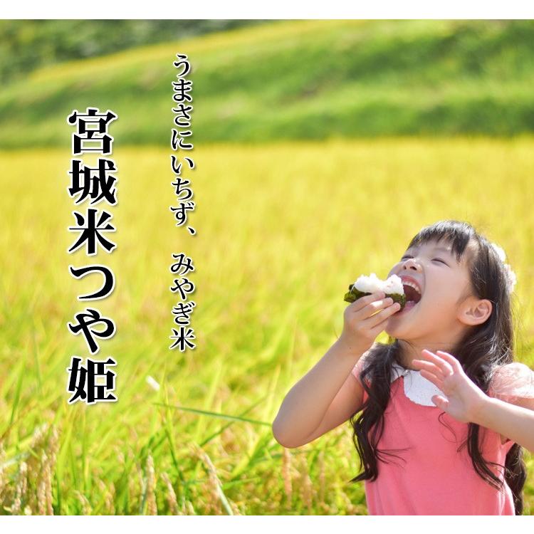 つや姫 お米 20kg 送料無料 白米 5kg×4袋 宮城県産 令和7年産 特A 一等