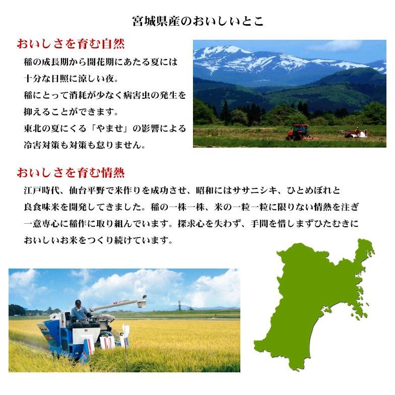 つや姫 お米 20kg 送料無料 白米 5kg×4袋 宮城県産 令和7年産 特A 一等