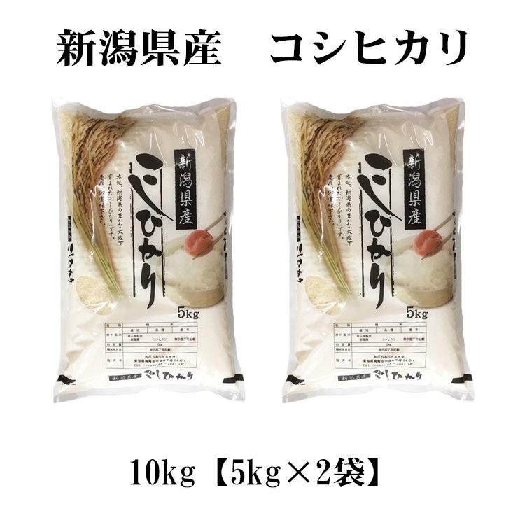 コシヒカリ お米 10kg 白米 送料無料 5kg×2袋 新潟県産 令和7年産 お米
