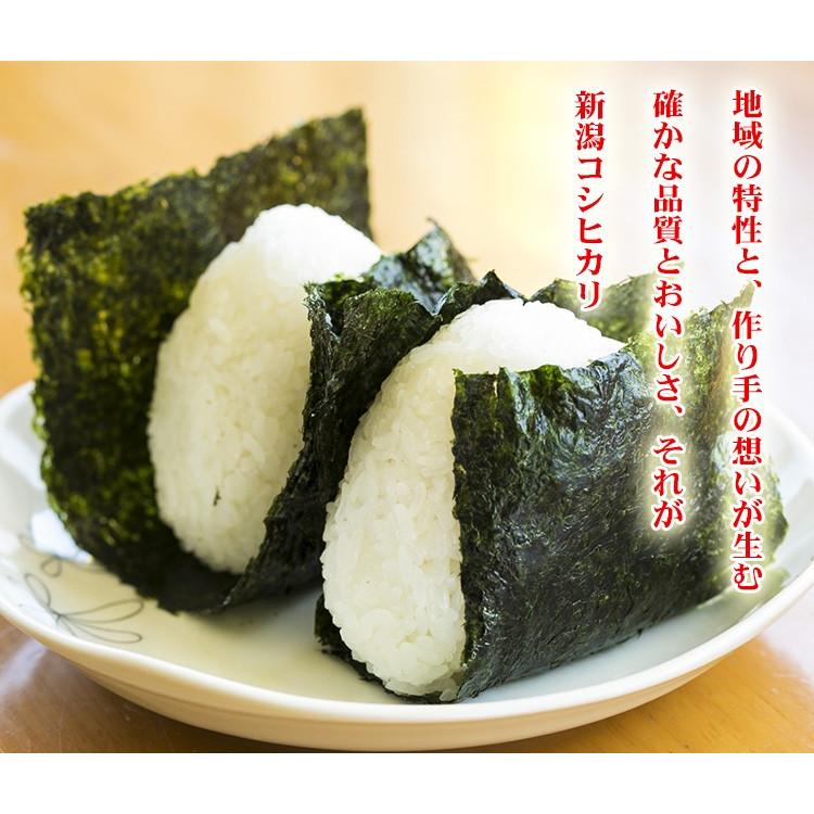 コシヒカリ 新米 お米 2kg 送料無料 白米 新潟県産 令和7年産 お米 2