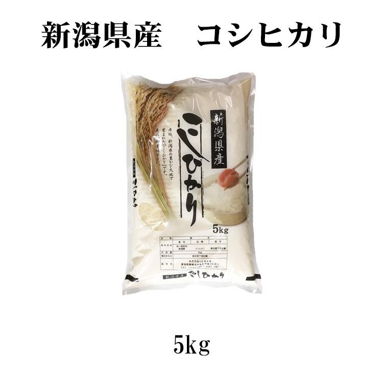 コシヒカリ お米 5kg 送料無料 白米 新潟県産 令和6年産 一等米