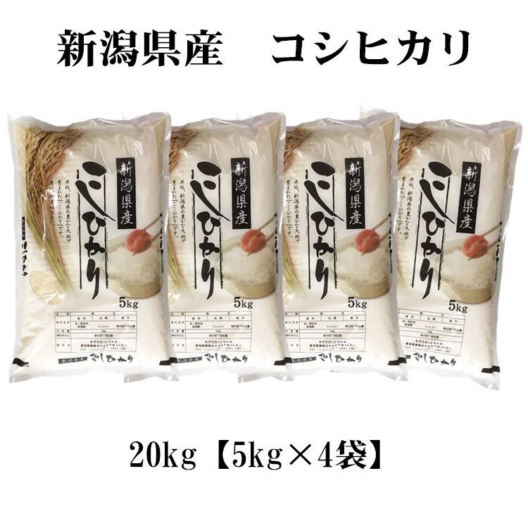 コシヒカリ お米 20kg 送料無料 白米 5kg×4袋 新潟県産 令和7年産 お米
