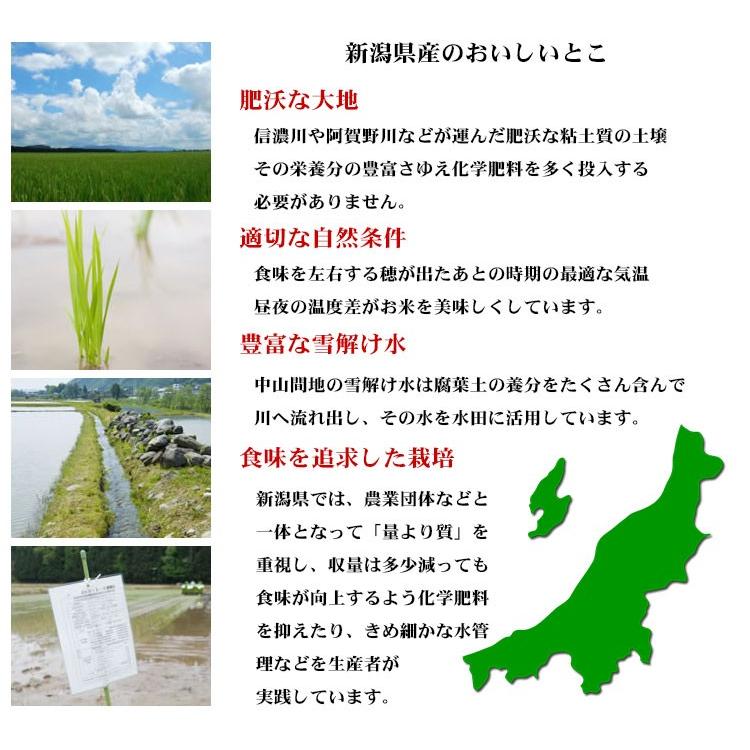 お米 20kg 送料無料 白米 コシヒカリ 5kg×4袋 新潟県産 令和5年産 お米 20キロ 食品 北海道・沖縄は追加送料｜adachinet-umai｜06