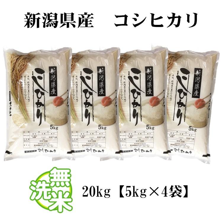 無洗米 20kg 送料無料 コシヒカリ 5kg×4袋 新潟県産 令和7年産 米 お米 食品 北海道・沖縄は追加送料 ポイント利用