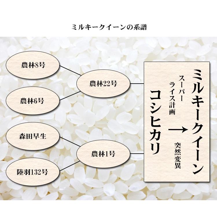 ミルキークイーン 無洗米 20kg 送料無料 5kg×4袋 長野県産 令和7年産