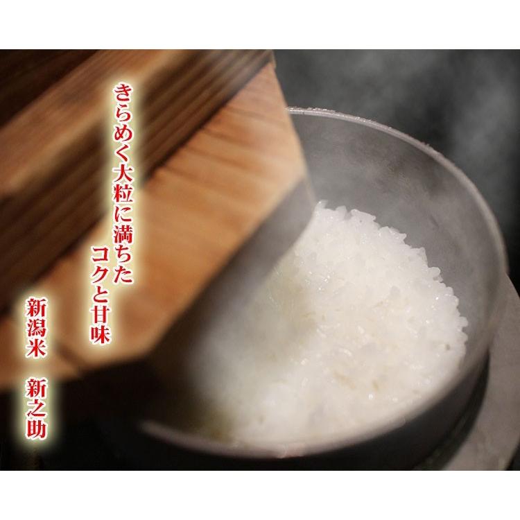 米 10kg 送料無料 白米 新之助 しんのすけ 5kg×2袋 新潟県産 令和7年産 一等米 お米 10キロ あすつく 食品 北海道・ ポイント利用_13