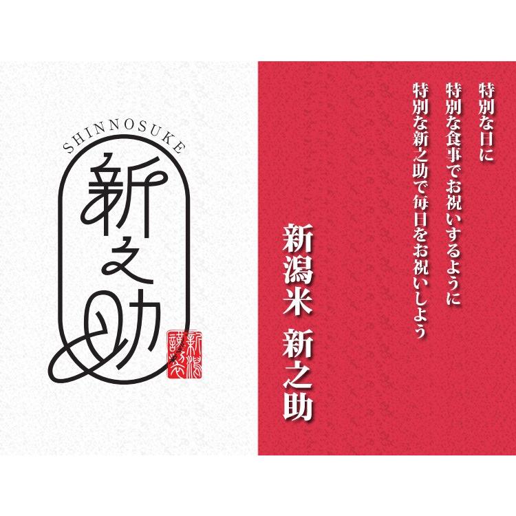 米 10kg 送料無料 白米 新之助 しんのすけ 5kg×2袋 新潟県産 令和7年産 一等米 お米 10キロ あすつく 食品 北海道・ ポイント利用_1