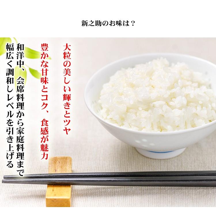 新之助（しんのすけ） 無洗米 10kg 送料無料 5kg×2袋 新潟県産 令和7