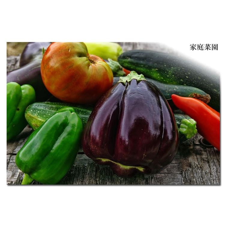 糠 米糠 15kg ヌカ 美米屋 米屋の米ぬか 国産米原料 ぬか漬け 家庭菜園