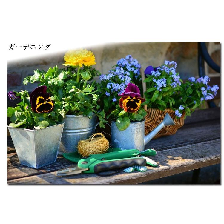 糠 米糠 15kg ヌカ 美米屋 米屋の米ぬか 国産米原料 ぬか漬け 家庭菜園 畑 肥料 釣餌 業務用などに 送料無料 一部地域除く Rb 15k あだちねっと美米屋 通販 Yahoo ショッピング