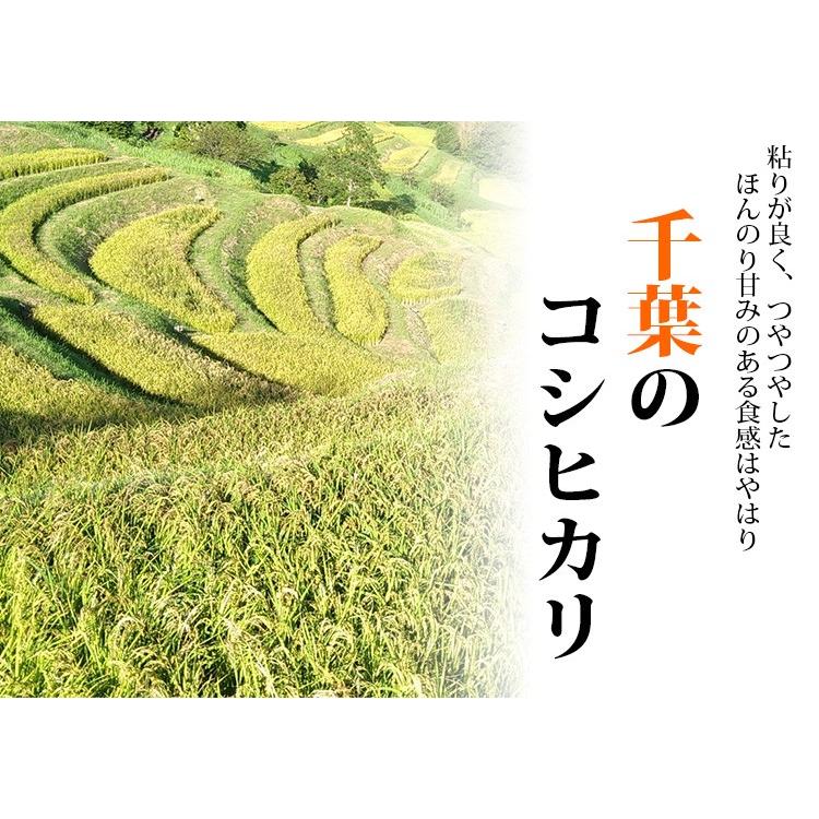 米 5kg 送料別 白米 コシヒカリ 千葉県産 令和2年産 お米 5キロ あすつく 食品 Tk 5 あだちねっと美米屋 通販 Yahoo ショッピング