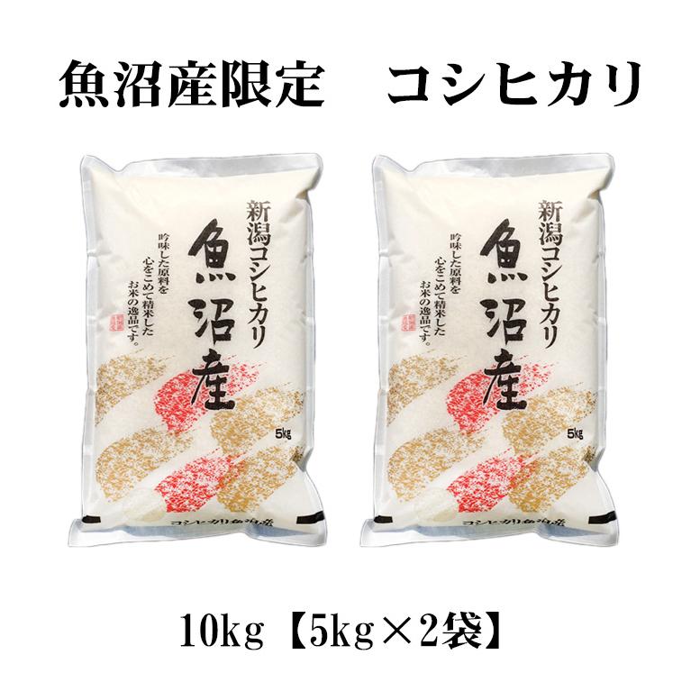 コシヒカリ お米 10kg 白米 送料無料 5kg×2袋 魚沼産 令和7年産 特A 一