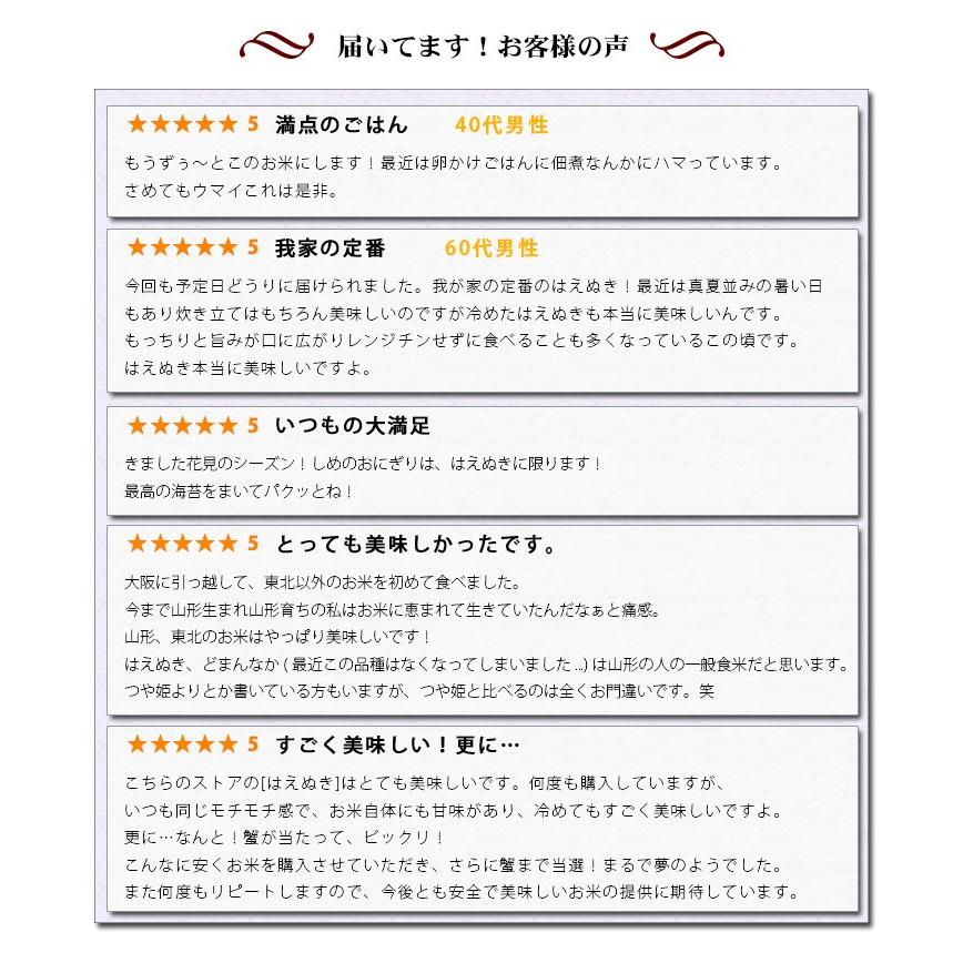 お米 20kg 送料無料 白米 はえぬき 5kg×4袋 山形県産 令和5年産 お米 20キロ 食品 北海道・沖縄は追加送料 お得｜adachinet-umai｜12