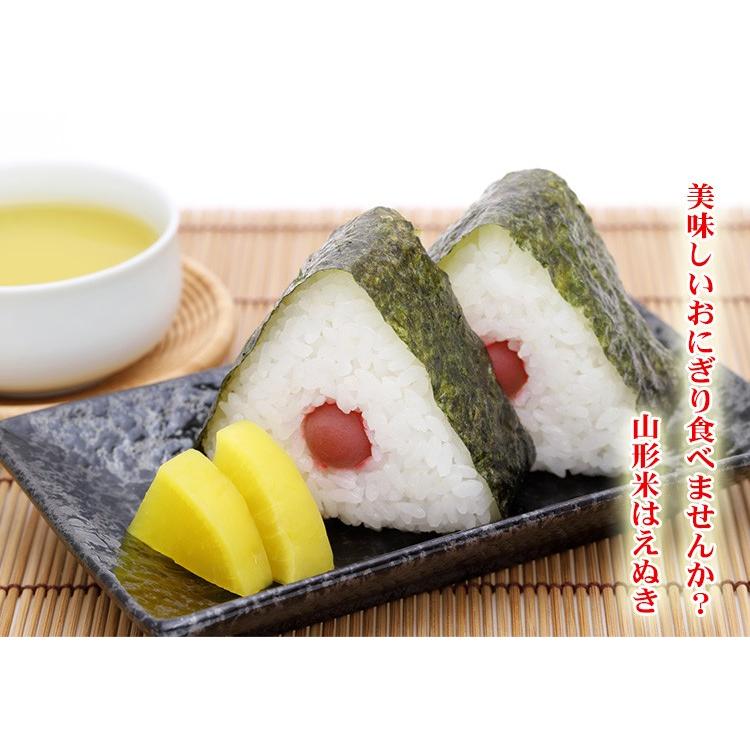 はえぬき 【販売中止、在庫減の為】お米 20kg 送料無料 白米 5kg はえぬき 【販売中止、在庫減の為】お米 20kg 送料無料 白米 5kg