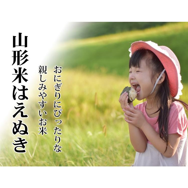 はえぬき お米 20kg 送料無料 白米 5kg×4袋 山形県産 令和7年産 一等米