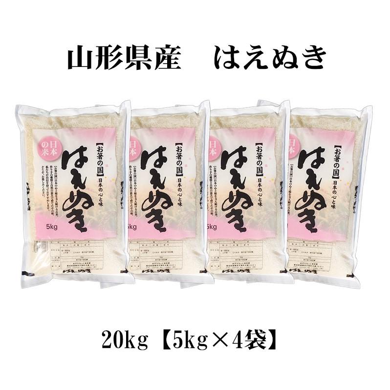 はえぬき お米 20kg 送料無料 白米 5kg×4袋 山形県産 令和7年産 一等米