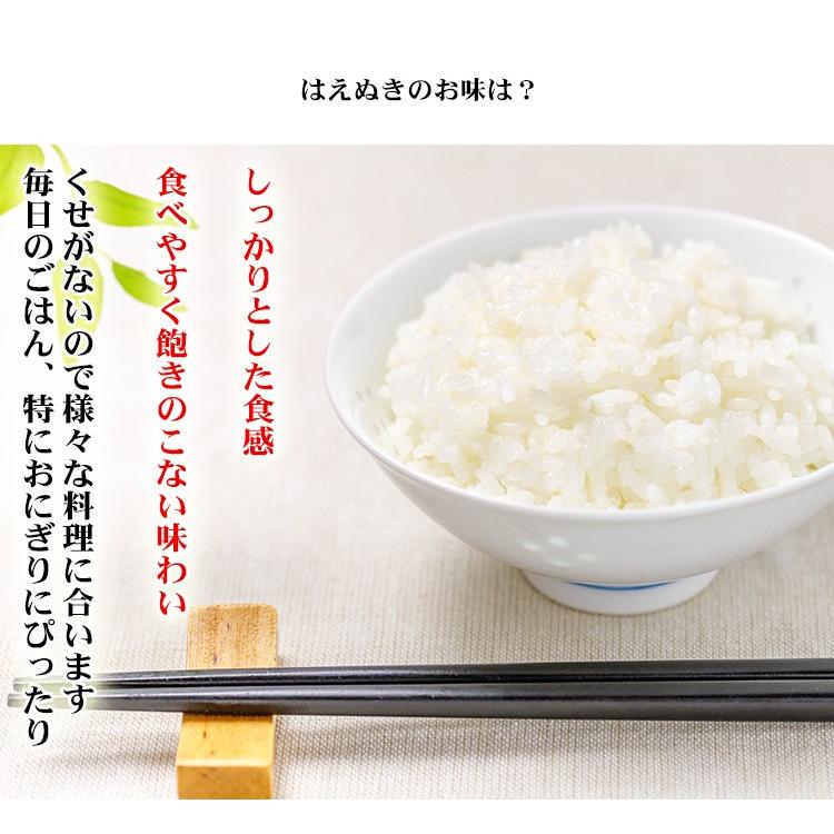 はえぬき お米 20kg 送料無料 白米 5kg×4袋 山形県産 令和7年産 一等米