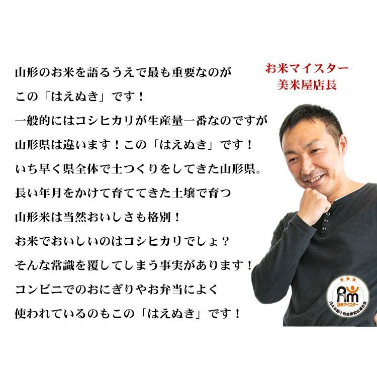 はえぬき お米 20kg 送料無料 白米 5kg×4袋 山形県産 令和7年産 一等米