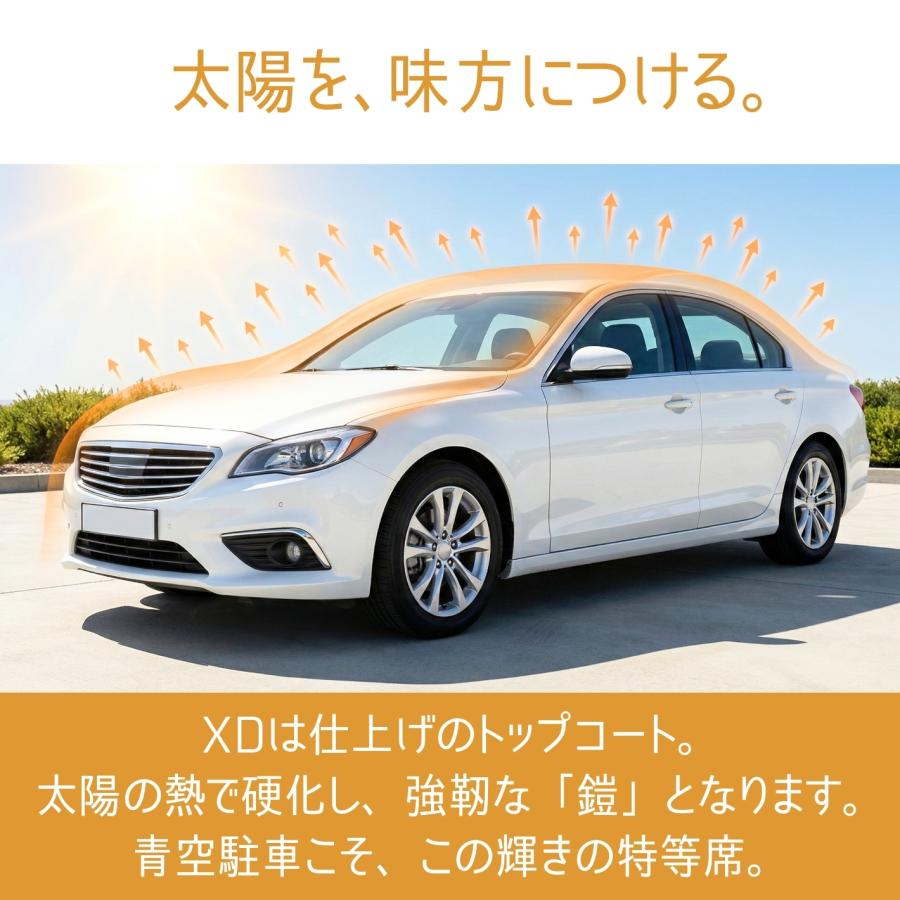 コーティング剤セット MPS Plusセット DTX MPS XD 3ステップ 下地処理から撥水コーティングまで 車 洗車 艶 撥水 防汚 アダマスオクタ | Adamas octa | 13
