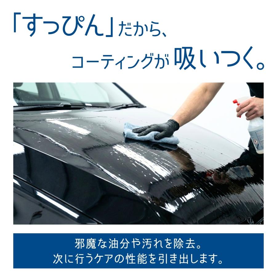 カーシャンプー DTX detox 洗車シャンプー 水垢 シリカスケール徹底