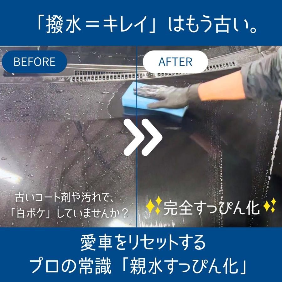 カーシャンプー DTX detox 洗車シャンプー 水垢 シリカスケール徹底