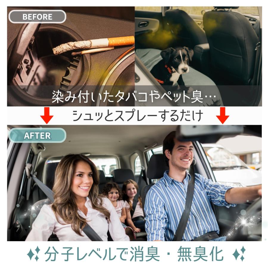 車内消臭剤 Nio1 SE ニオワン スプーン付 強力消臭 除菌 水で溶かすだけ 顆粒タイプ 無香料 車 シート エアコン ペット 汗 カビ臭 アダマスオクタ (60g) | Adamas octa | 03