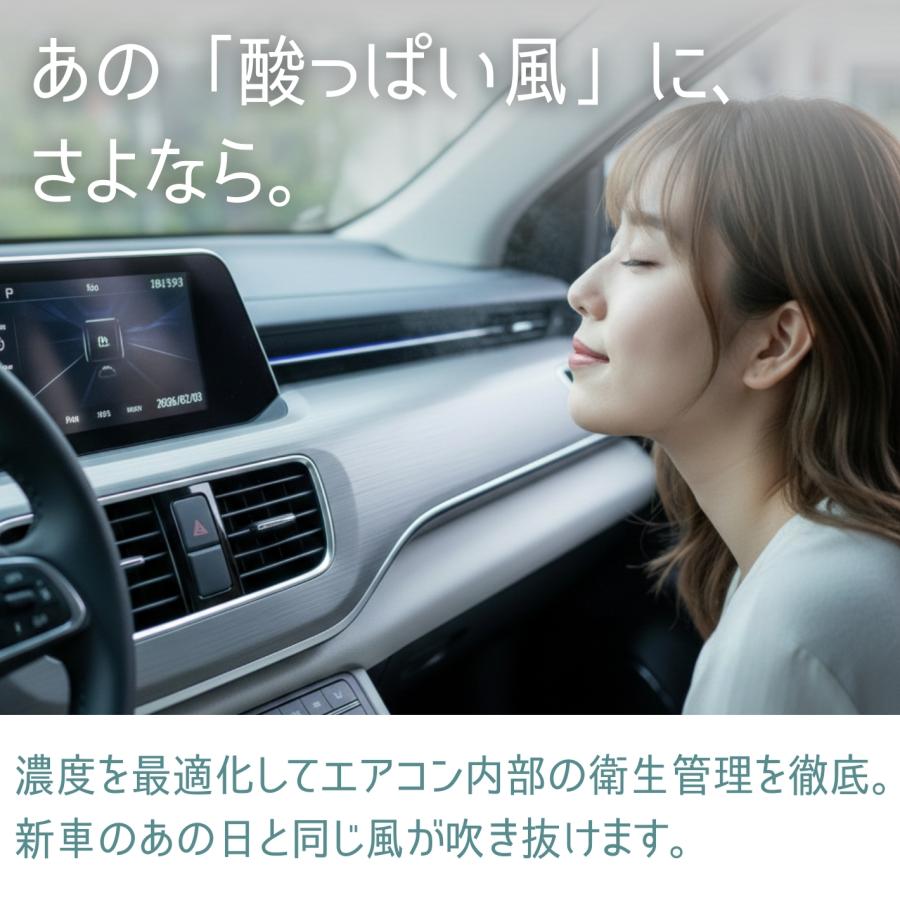 車内消臭剤 Nio1 SE ニオワン スプーン付 強力消臭 除菌 水で溶かすだけ 顆粒タイプ 無香料 車 シート エアコン ペット 汗 カビ臭 アダマスオクタ (60g) | Adamas octa | 04