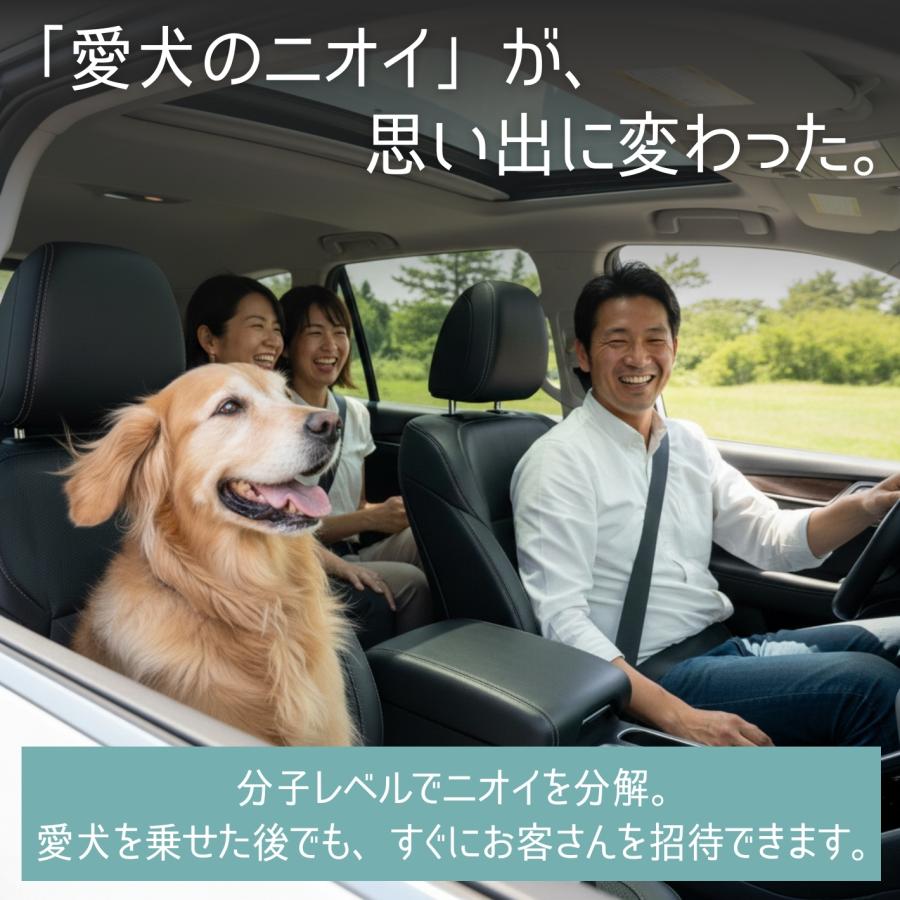 車内消臭剤 Nio1 SE ニオワン スプーン付 強力消臭 除菌 水で溶かすだけ 顆粒タイプ 無香料 車 シート エアコン ペット 汗 カビ臭 アダマスオクタ (60g) | Adamas octa | 05