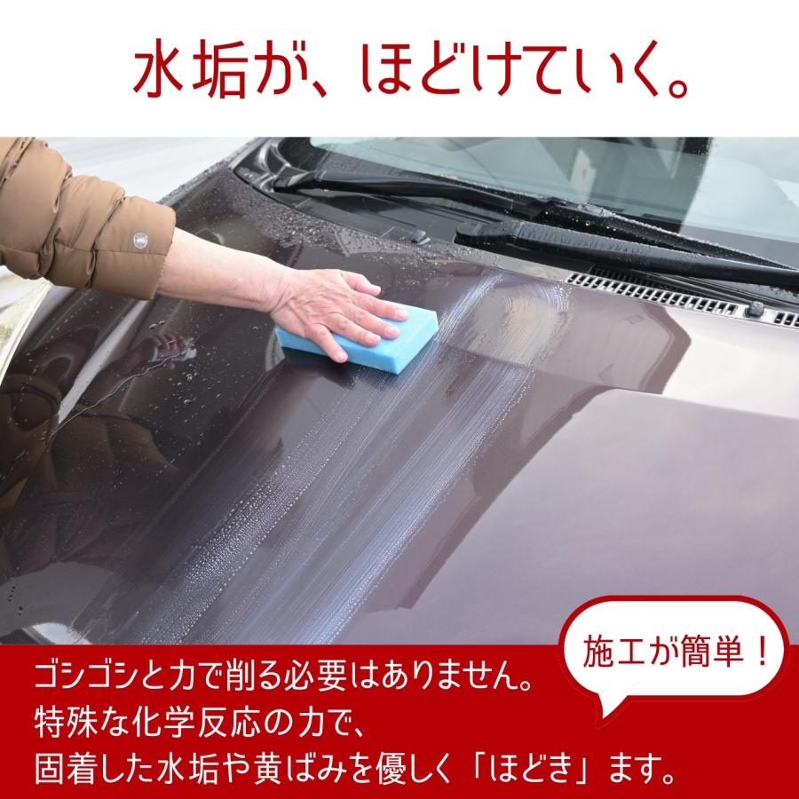 Adamas octa（アダマスオクタ） コーティング除去剤 KTXセット 2液混合